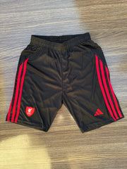 LIVERPOOL FC 25/26 AWAY JERSEY FULL SLEEVE